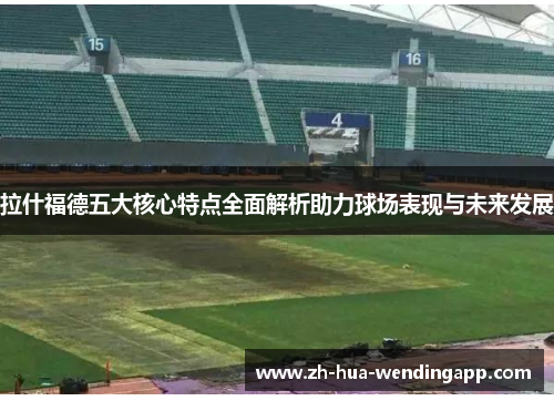 拉什福德五大核心特点全面解析助力球场表现与未来发展
