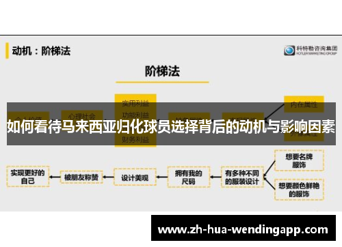 如何看待马来西亚归化球员选择背后的动机与影响因素