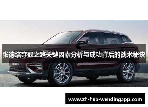 张德培夺冠之路关键因素分析与成功背后的战术秘诀