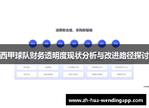 西甲球队财务透明度现状分析与改进路径探讨